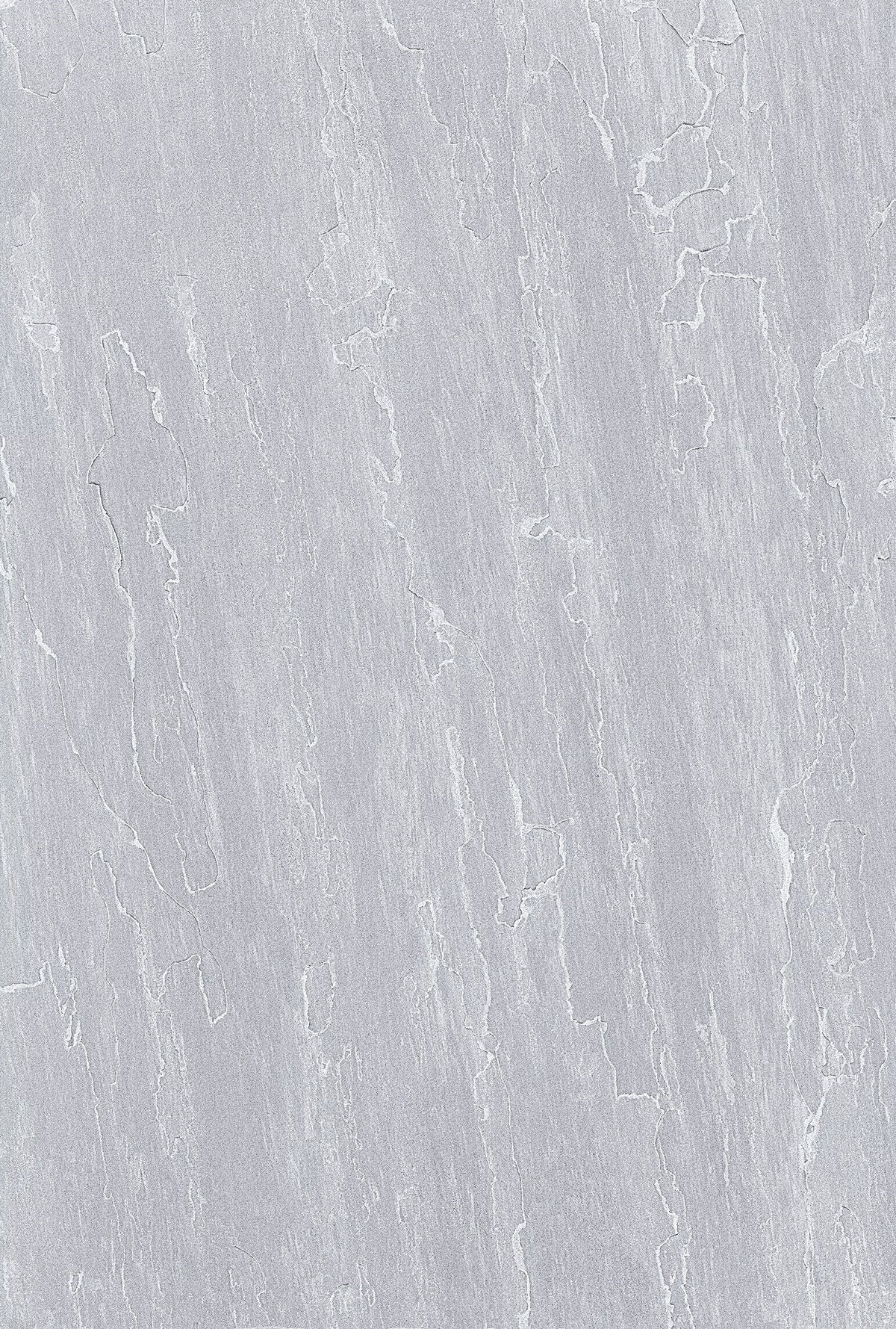 Kandla Silver Grey 20mm Outdoor Porcelain Slab Tile 60x90cm