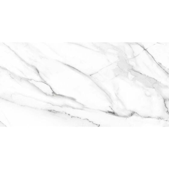 Waldorf Gloss Ceramic Wall Marble Effect Tile 30x60cm