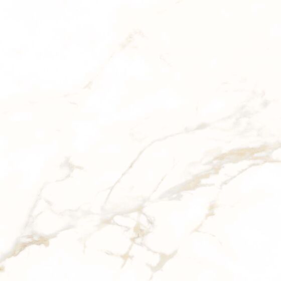 Goldman Matt Porcelain Marble Effect Tile 60x60cm