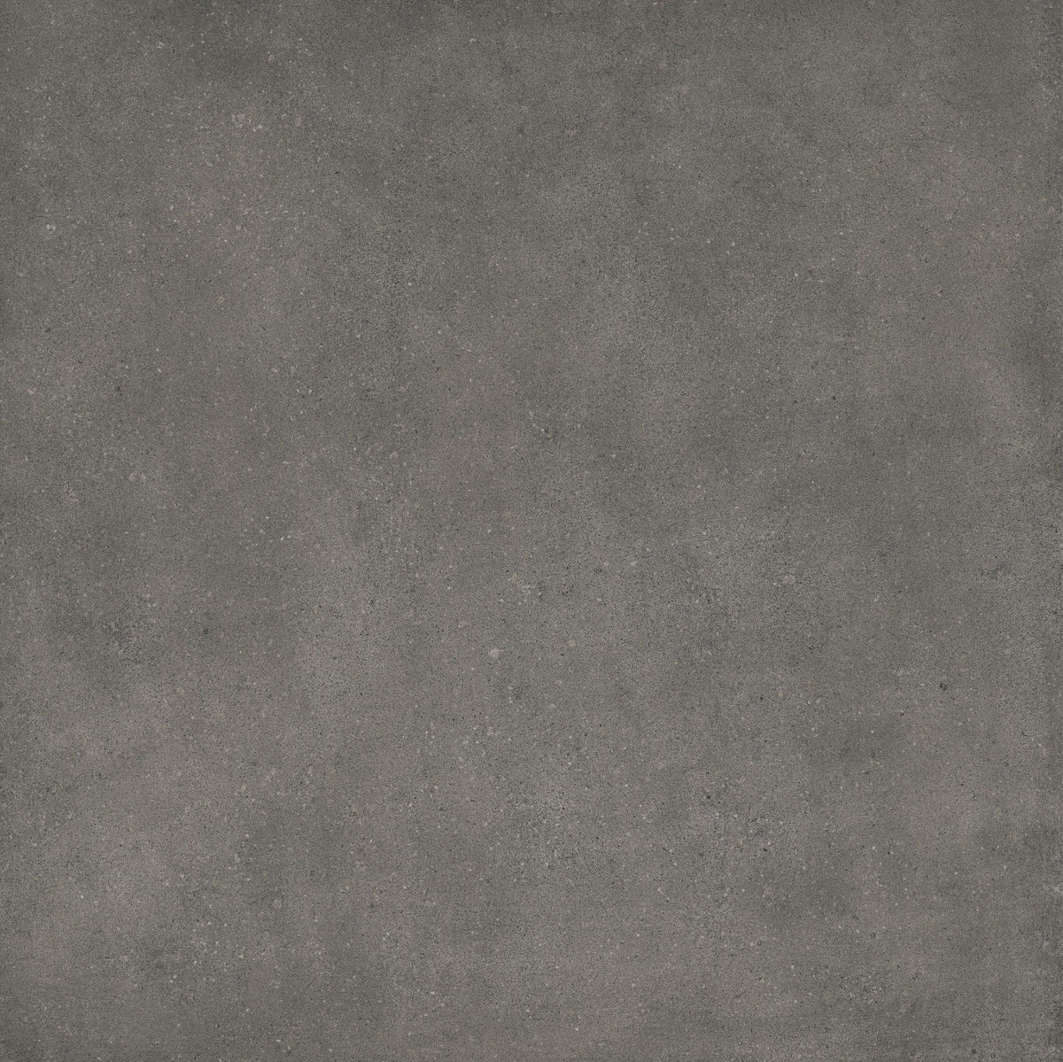 Uptown Dark Grey Porcelain Floor Tile 100x100cm