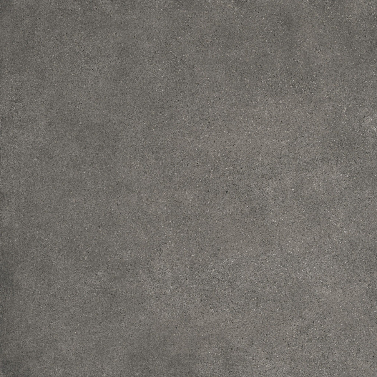 Uptown Dark Grey Porcelain Floor Tile 100x100cm