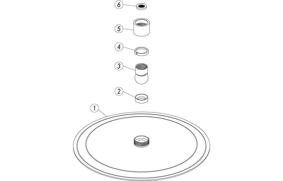 250mm Round Showerhead - Brushed Brass-Shower Heads-DICM0700-