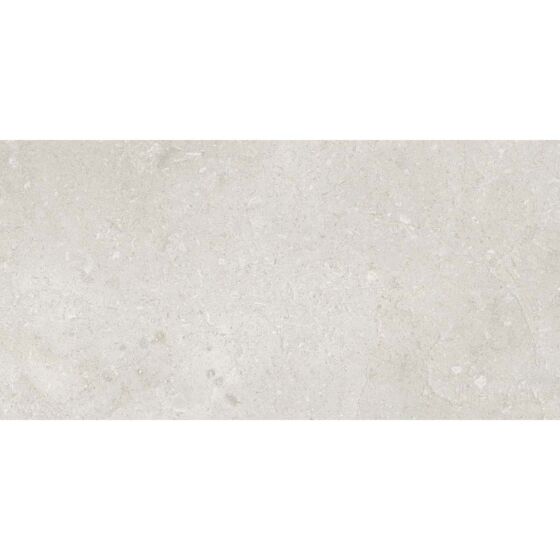 Bloomberg Matt Ceramic Wall Tile 30x60cm-Verona-P12883