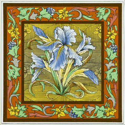 Original Style Artworks Blue Iris Single Tile On Brilliant White