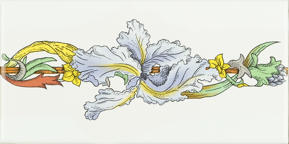 Original Style Artworks Blue Iris Border (half size) On Brilliant White-
