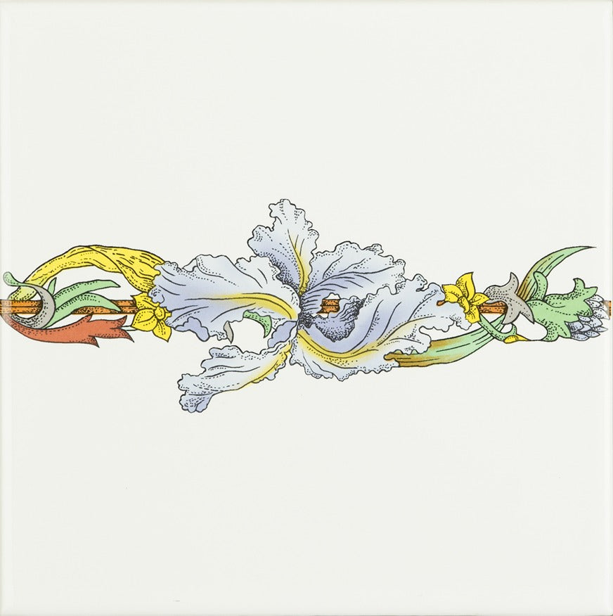 Original Style Artworks Blue Iris Border On Brilliant White-