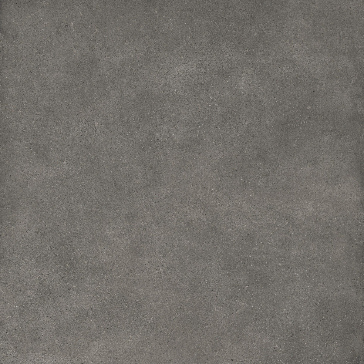 Uptown Dark Grey Porcelain Floor Tile 100x100cm